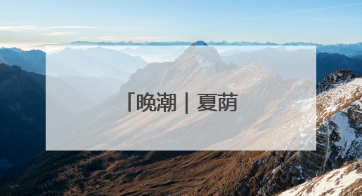 晚潮｜夏荫胜春尤可人
